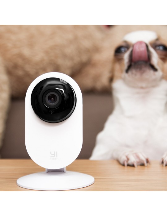 Cámara para perros, Wi-Fi, vigilancia, FullHD / 720P