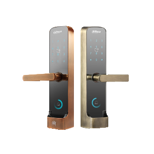 Smart Locks